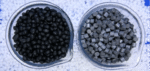 What is TPE: Everything You Need to Know