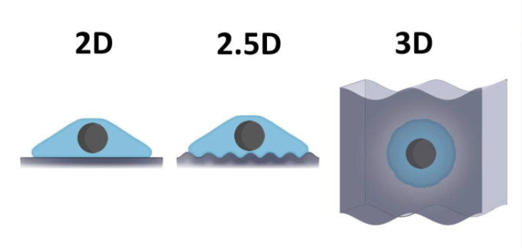 What is Computer-Aided Design: Uses, Types, and Benefits.docx