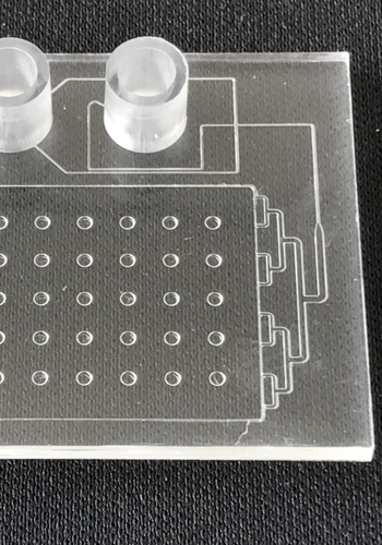 Nylon Microfluidic